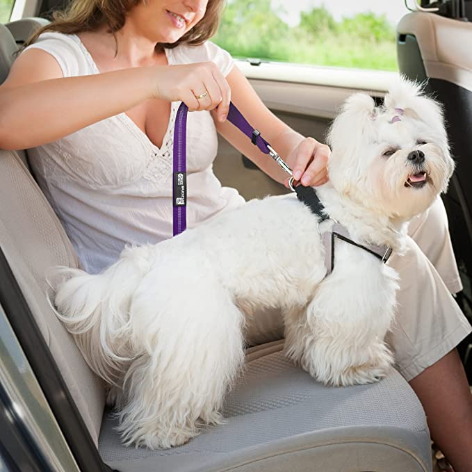 Dog Seat Belt for car