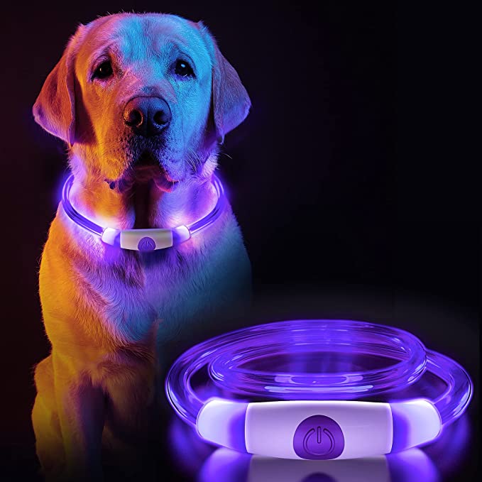 Dog collar hot sale light